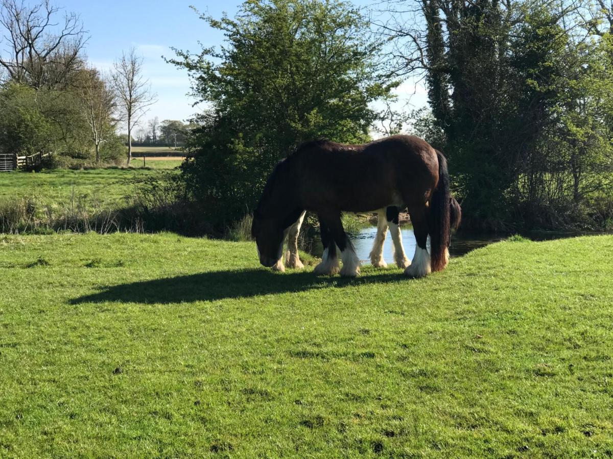 Tupenny Cottage, Old Mill Farm, Cotswold Water Park Cirencester Buitenkant foto