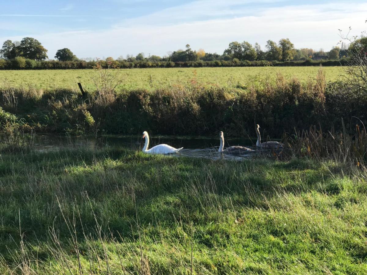 Tupenny Cottage, Old Mill Farm, Cotswold Water Park Cirencester Buitenkant foto