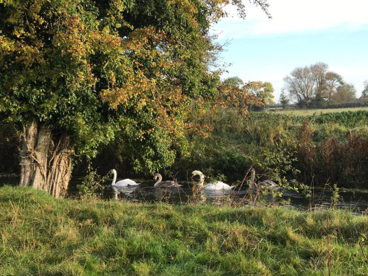 Tupenny Cottage, Old Mill Farm, Cotswold Water Park Cirencester Buitenkant foto
